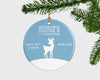 Baby Boy Christmas Ornament, Newborn Boy Christmas Ornament, Gift To Baby Boy, Baby Boy Ornament, Baby Boy Gift, Boy Keepsake, Birth Stats